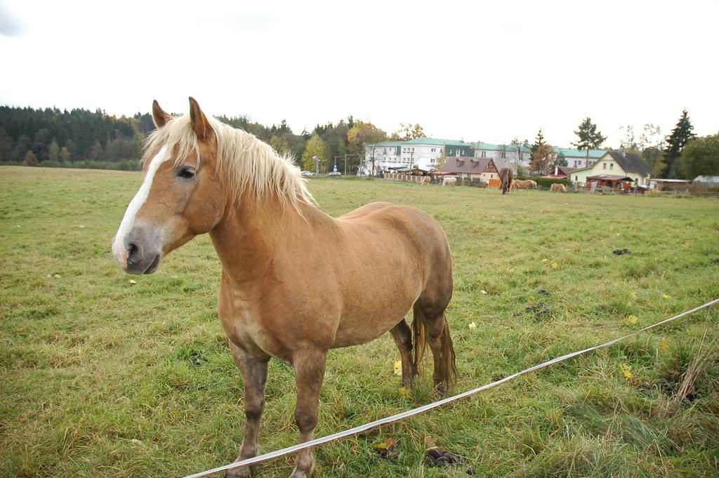 Penzion Honore Depoltovice Quarto foto